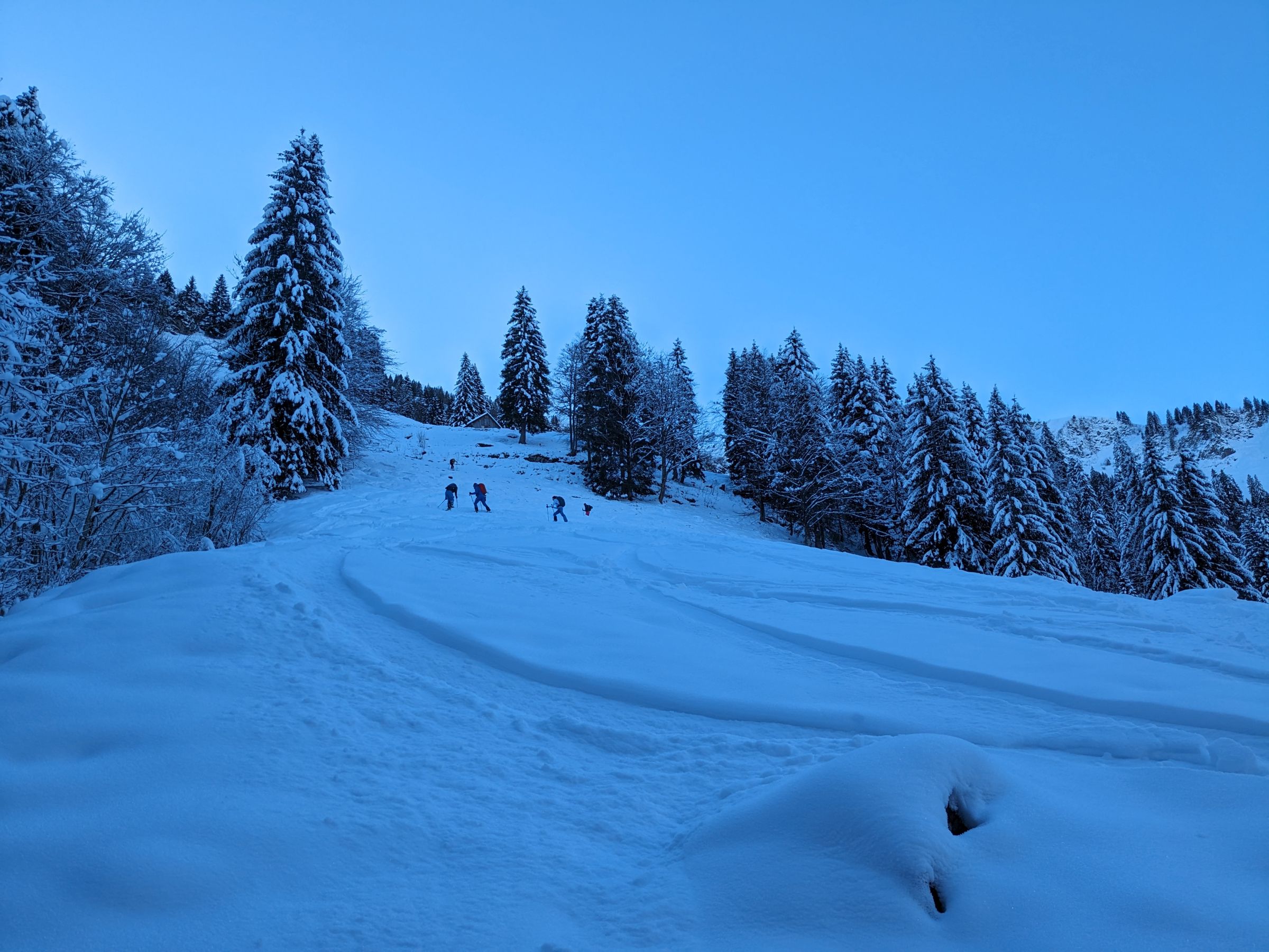 wenig schnee im hang