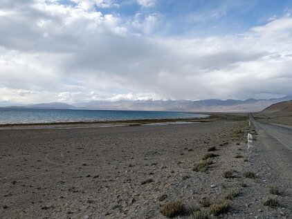 karakul